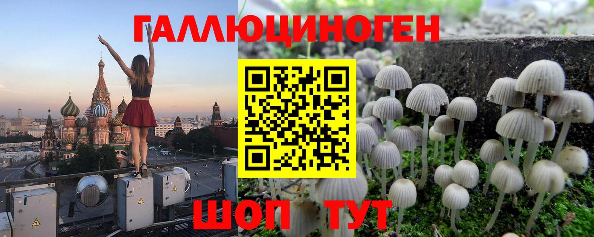 Псилоцибиновые грибы мухоморы Мытищи