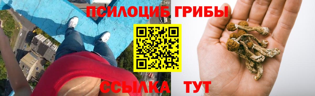 магазин  наркотиков  Галлюциногенные грибы мицелий  Галлюциногенные грибы прущие грибы  Вход с VPN  Мытищи 